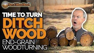 Bowl Turning Free Wood –Video