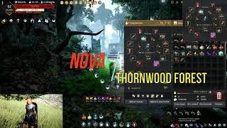 Nova Thornwood Forest Odyllita 275 Ap Kutum / Нова Колючий лес / 검은사막[BDO]