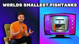 The World's Smallest Fish Tanks | Best Micro Aquariums