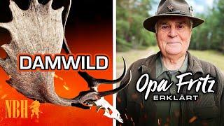 OPA FRITZ erklärt DAMWILD Spießer - kapitaler Schaufler | Damwildflüsterer zeigt seine Trophäen