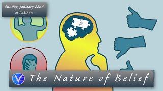 The Nature of Belief