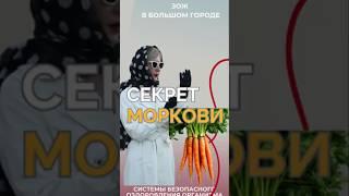 Секрет моркови #FitLine