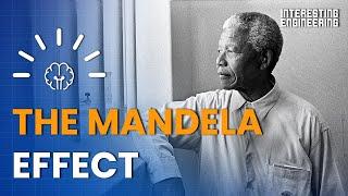 Mandela Effect: The science behind our collective false memories