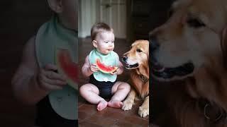 A very heartwarming scene #pets #baby #funny #cuteanimals #dog