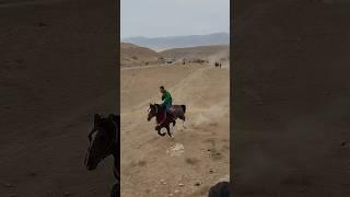 Ҷаҳон човандоз #horse #kokpar #rek #kupkari #automobile #ouzbekistan #stallion #edit #tjk #buzkashi