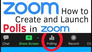 How to Create and Launch Polls in Zoom Meetings | Zoom Polls Tutorial