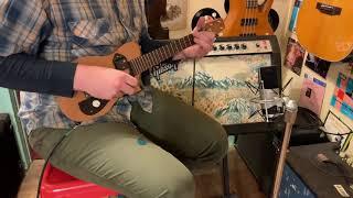 2019 Jake Wildwood electric concert ukulele