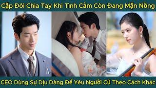 Cặp Đôi Chia Tay Khi Tình Cảm Còn Đang Mặn Nồng, CEO Dùng Sự Dịu Dàng Để Yêu Người Cũ Theo Cách Khác