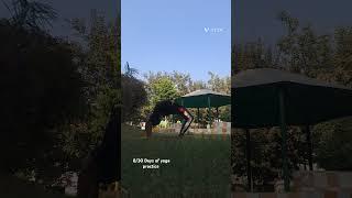 8th day yoga challenge #trending #yoga #viralvideo #youtubeshorts