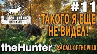 theHunter call of the wild #11  - Такого я еще не видел! - Оружие: Лук, Винтовка - Трофеи: Косуля