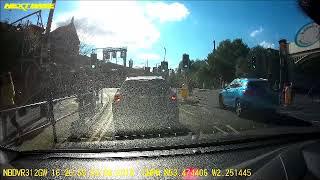 Goose using pelican crossing in city centre Manchester during rush hour !