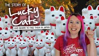 All about LUCKY CATS  Japanese Maneki Neko