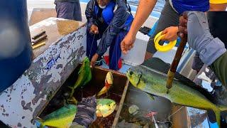 HANDLINE FISHING FOR FASTING GROWING FISH IN THE OCEAN! Catching Mahi Mahi For Food In The Caribbean