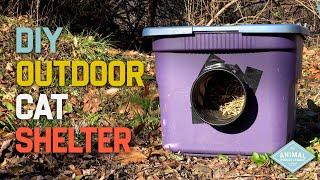 DIY Outdoor Cat Shelter