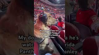 My dog witnessed history being made #dogsofyoutube #dog #dogs #hockey #nhl #florida