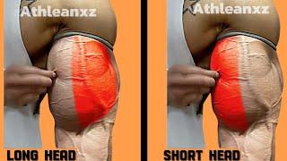7 Hard Bicep workout with dumbbells | Tone your Biceps Fast With Simple Exercises!