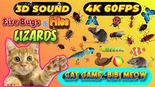 CAT GAMES BiBi TV | Ultimate Cat TV Compilation SPECIAL VOLUME #89 | 3 HOURS | Game On Screen 