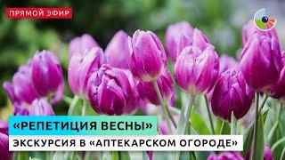 Экскурсия по выставке цветов "Репетиция весны"