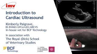 IMV imaging cardiac ultrasound video 1 - Introduction to performing an echo