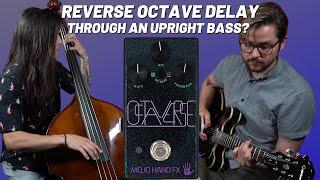 Mojo Hand FX Octaverse Reverse Octave Delay Through An Upright Bass?? | Kris and Wakinyan Discuss  |