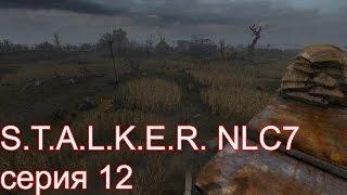 STALKER NLC7. Серия 12. Болота.