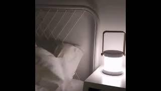 Portable rechargeable light