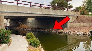 I Caught A MONSTER FISH Under This Bridge (New PB)