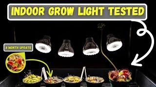 Indoor Grow Light For Venus Fly Traps Tested + Flower Stalk Propagations