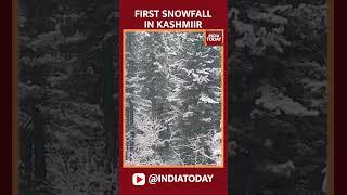 WATCH: Extreme snowing in Kashmir’s Badgam