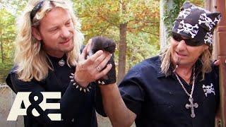 Billy the Exterminator: Billy and Ricky Save a Newborn Kitten Stuck Inside a Wall | A&E