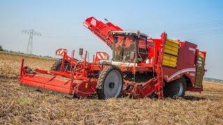 GRIMME VARITRON 470 & VARITRON 470 TERRA TRAC | self-propelled Potato Harvester