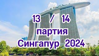 9 )    13 / 14  партия   матча за мировое первенство, Сингапур,2024г.  Обзор.