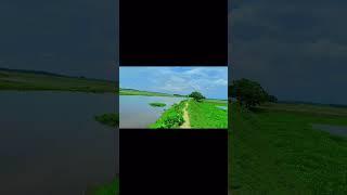 gramer view