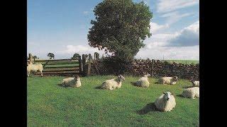 THE KLF  -  Chill Out  ( Full Album )