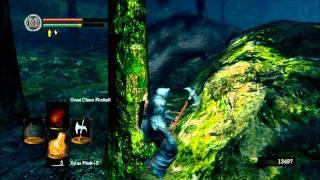 Dark Souls - Easy way to kill the cat-like monsters in Darkroot Garden