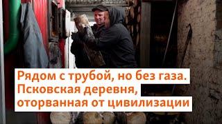 Рядом с трубой, но без газа. Псковская деревня, оторванная от цивилизации | Север.Реалии