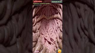 Internal View of Elephant's Digestive System Animation | Animals AI Art | 160