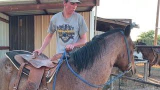 Horse Training - First Ride, First Mount