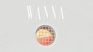 #91 Wanna (Official)