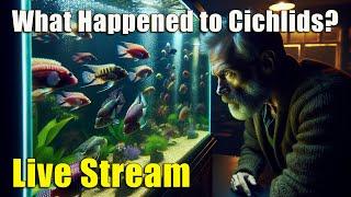 [LIVE]  What Happened to African Cichlids? Plus A Fish Q&A!