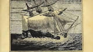 Shipwreck of the Whale-ship Essex by Owen CHASE read by Phil Schempf | Full Audio Book