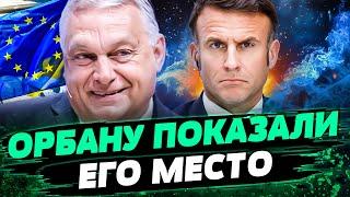  Ситуация НАКАЛЯЕТСЯ! Хотят КАПИТУЛЯЦИИ УКРАИНЫ! Орбана ПОНЕСЛО! ЕС ДАЛ ОТВЕТ! — Несвитайлов