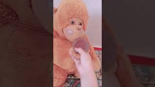orangutan mukbang