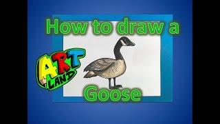 How to Draw a Goose