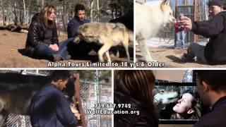 Colorado Wolf and Wildlife Center