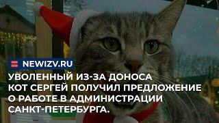 Уволенный из-за доноса кот Сергей получил предложение о работе в администрации Санкт-Петербурга.