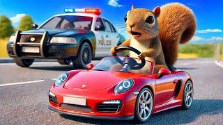 I UNLOCKED the RC Car in Squirrel With A Gun!