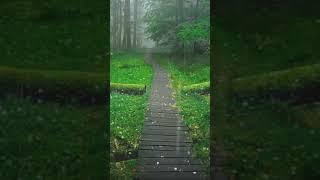 I FEEL THE SOUND (NATURE)