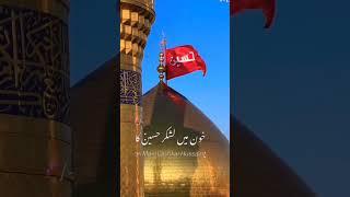 Dream Karbala #hussainitiger72 #alijee #karbala #karbalastatus #shortsfeed #nadeemsarwar #shorts