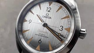 Omega Seamaster Railmaster 220.10.40.20.06.001 Omega Watch Review